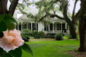 New Orleans Attractions Catalpa Plantation New Orleans Attractions Catalpa Plantation