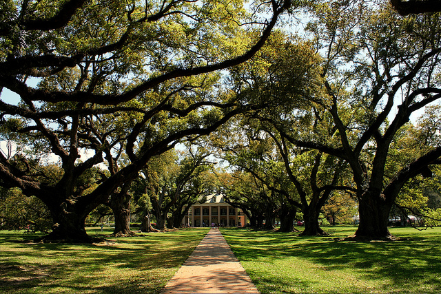 Located just an hour's drive outside of New Orleans, Oak Alley Plantation offers a glimpse into antebellum life. (Photo via Marit & Toomas Hinnosaar on Flickr)
