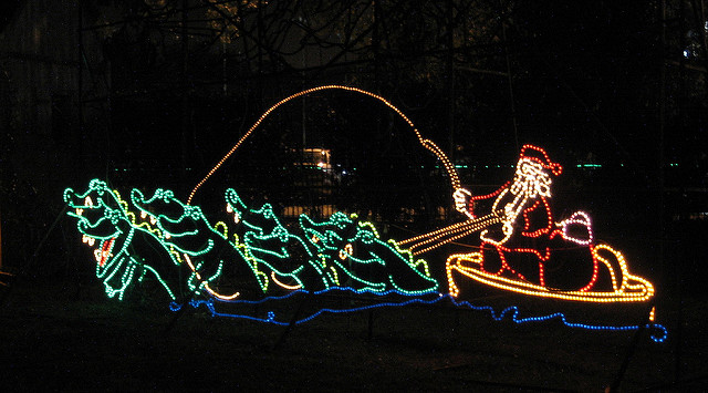 Lights at the Celebration in the Oaks. (Photo: Infrogmation via Flickr)