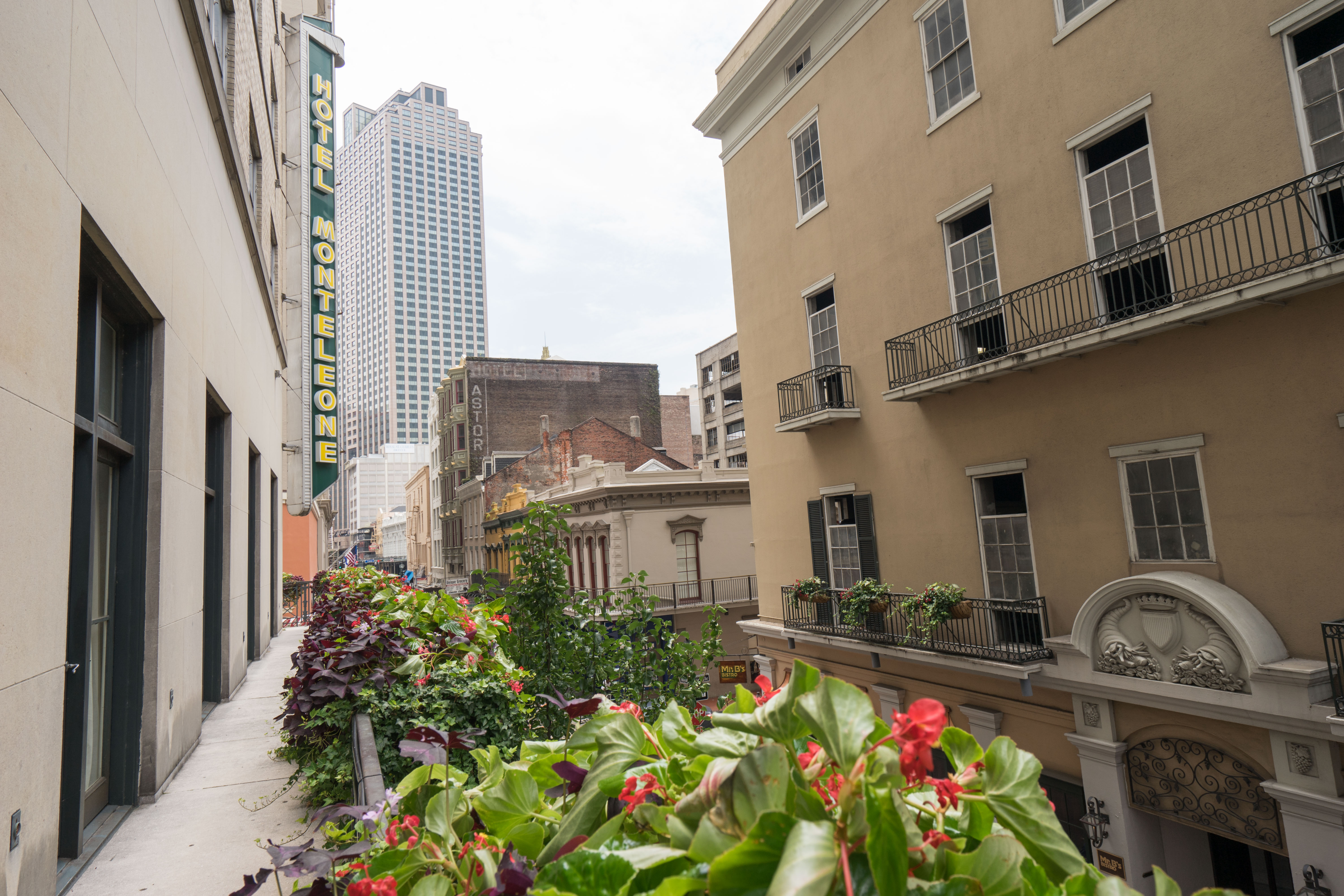 Hotel Monteleone - French Quarter - New Orleans, LA - Hotel Monteleone